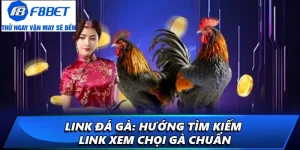 link đá gà f8bet ảnh đại diện